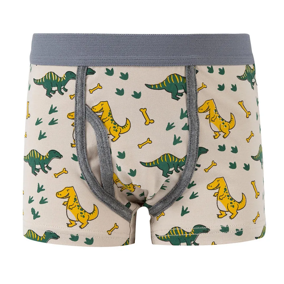 Les garçons d'usine d'OEM doux 100% coton slips sous-vêtements divers jeunes enfants
