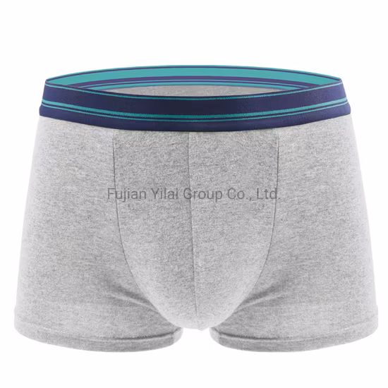 Sous-vêtements respirants en Polyester de haute qualité personnalisés, sous-vêtements de Sport pour hommes, élastique, Logo personnalisé, ceinture, Boxer pour hommes