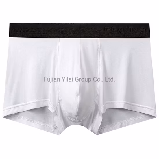 Sous-vêtements pour hommes Boxers en coton extensible Logo personnalisé Sous-vêtements respirants Slips pour hommes Boxer Trunks Sous-vêtements grande taille pour femmes